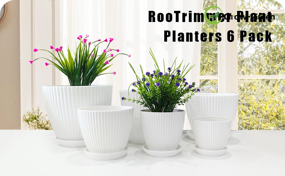 white plant pots